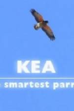 Watch Kea - The Smartest Parrot Alluc