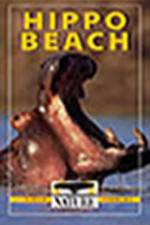 Watch PBS Nature - Hippo Beach Alluc