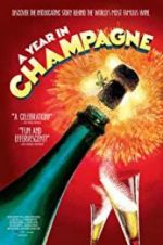 Watch A Year in Champagne Alluc