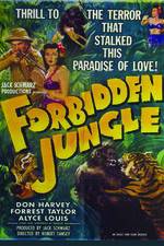 Watch Forbidden Jungle Alluc