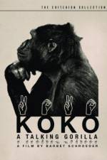 Watch Koko, le gorille qui parle Alluc