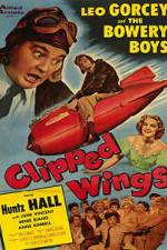 Watch Clipped Wings Alluc