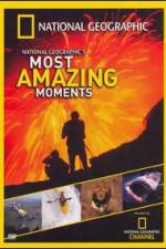 Watch National Geographics Most Amazing Moments Alluc
