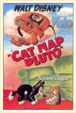 Watch Cat Nap Pluto Alluc