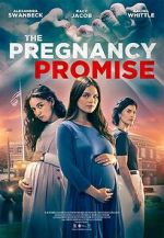 Watch The Pregnancy Promise Alluc