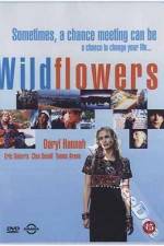 Watch Wildflowers Alluc