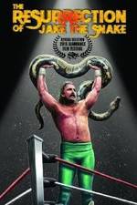Watch The Resurrection of Jake The Snake Roberts Alluc