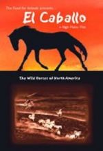 Watch El Caballo: The Wild Horses of North America Alluc