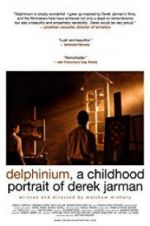 Watch Delphinium: A Childhood Portrait of Derek Jarman Alluc