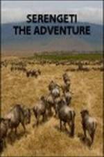 Watch Serengeti: The Adventure Alluc