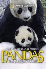 Watch Pandas: The Journey Home Alluc