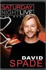 Watch Saturday Night Live The Best of David Spade Alluc