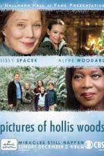 Watch Pictures of Hollis Woods Alluc