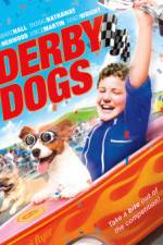 Watch Derby Dogs Alluc