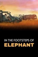 Watch In the Footsteps of Elephant Online Alluc