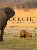 Watch Cecil: The Legacy of a King Alluc