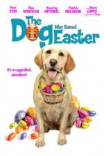 Watch The Dog Who Saved Easter Alluc