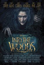 Watch Into the Woods Alluc
