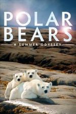 Watch Polar Bears: A Summer Odyssey Alluc