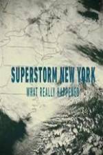 Watch Superstorm New York: What Really Happened Alluc