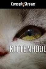 Watch Kittenhood Alluc