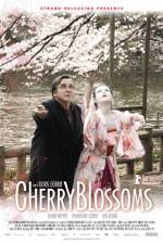 Watch Cherry Blossoms Alluc