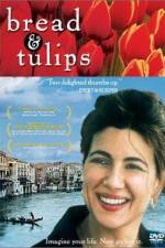 Watch Bread & Tulips Alluc