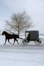 Watch Leaving Amish Paradise Alluc