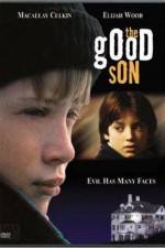 Watch The Good Son Alluc