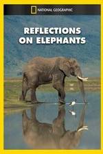 Watch Reflections on Elephants Alluc