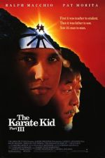 Watch The Karate Kid Part III Online Alluc