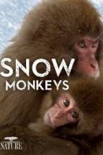 Watch Nature: Snow Monkeys Alluc