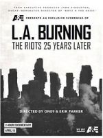 Watch L.A. Burning: The Riots 25 Years Later Alluc