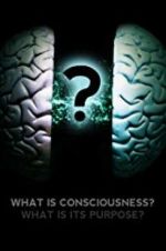 Watch What Is Consciousness? What Is Its Purpose? Alluc