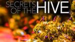 Watch Secrets of the Hive Alluc
