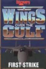 Watch Wings Over the Gulf Vol  1  First Strike Alluc