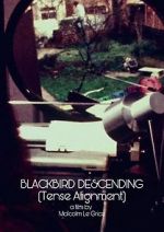 Watch Blackbird Descending Alluc