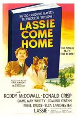 Watch Lassie Come Home Alluc