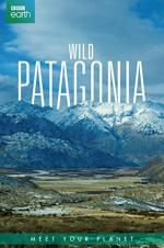 Watch Wild Patagonia Alluc