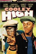 Watch Cooley High Alluc