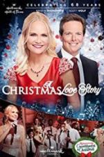 Watch A Christmas Love Story Alluc