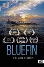 Watch Bluefin Alluc