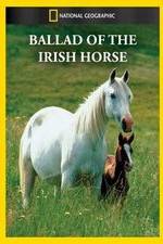 Watch Ballad of the Irish Horse Alluc