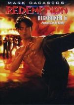 Watch The Redemption: Kickboxer 5 Alluc