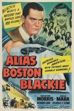 Watch Alias Boston Blackie Alluc