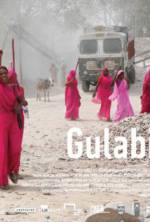 Watch Gulabi Gang Alluc