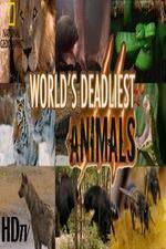 Watch National Geographic - Worlds Deadliest Animal Battles Alluc