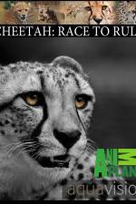 Watch Cheetah: Race to Rule Alluc
