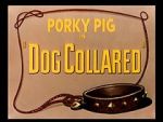 Watch Dog Collared (Short 1950) Alluc