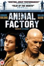 Watch Animal Factory Alluc
